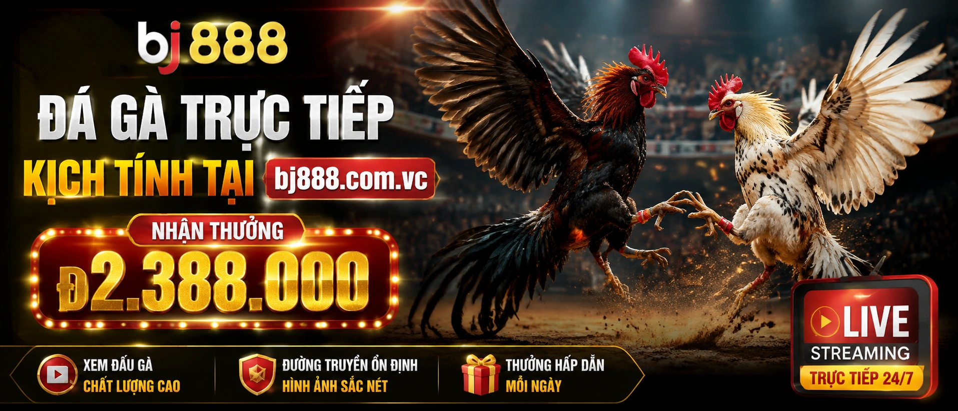 Danh mục Đá Gà Campuchia trên bj888.com.vc